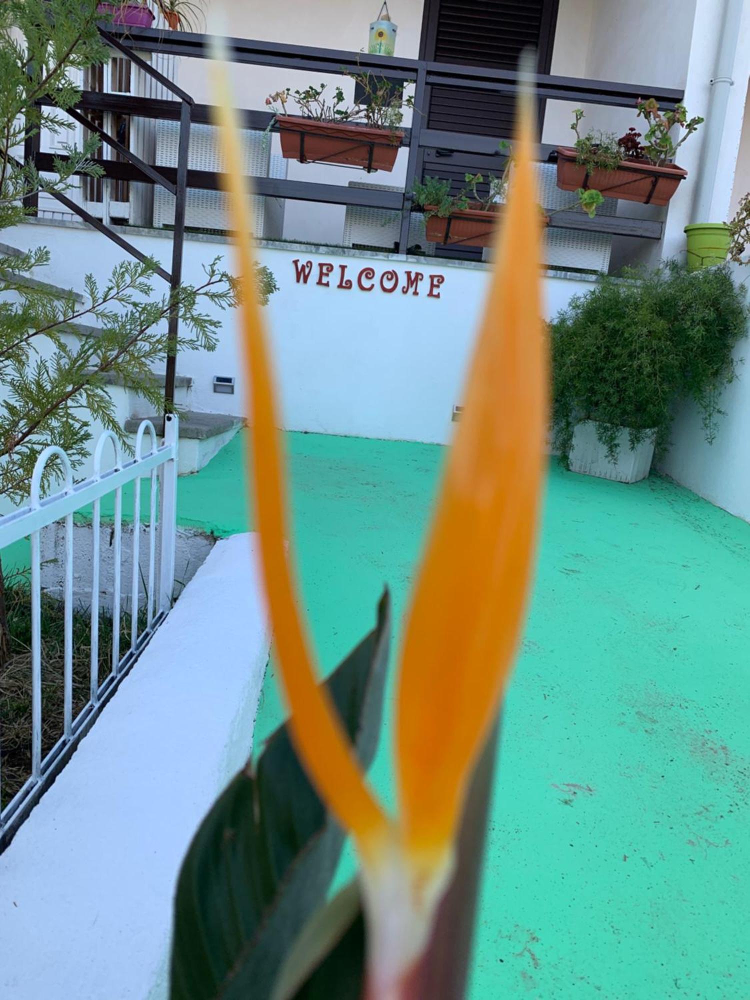 B&B A Casa Di Picci Santa Domenica  Εξωτερικό φωτογραφία