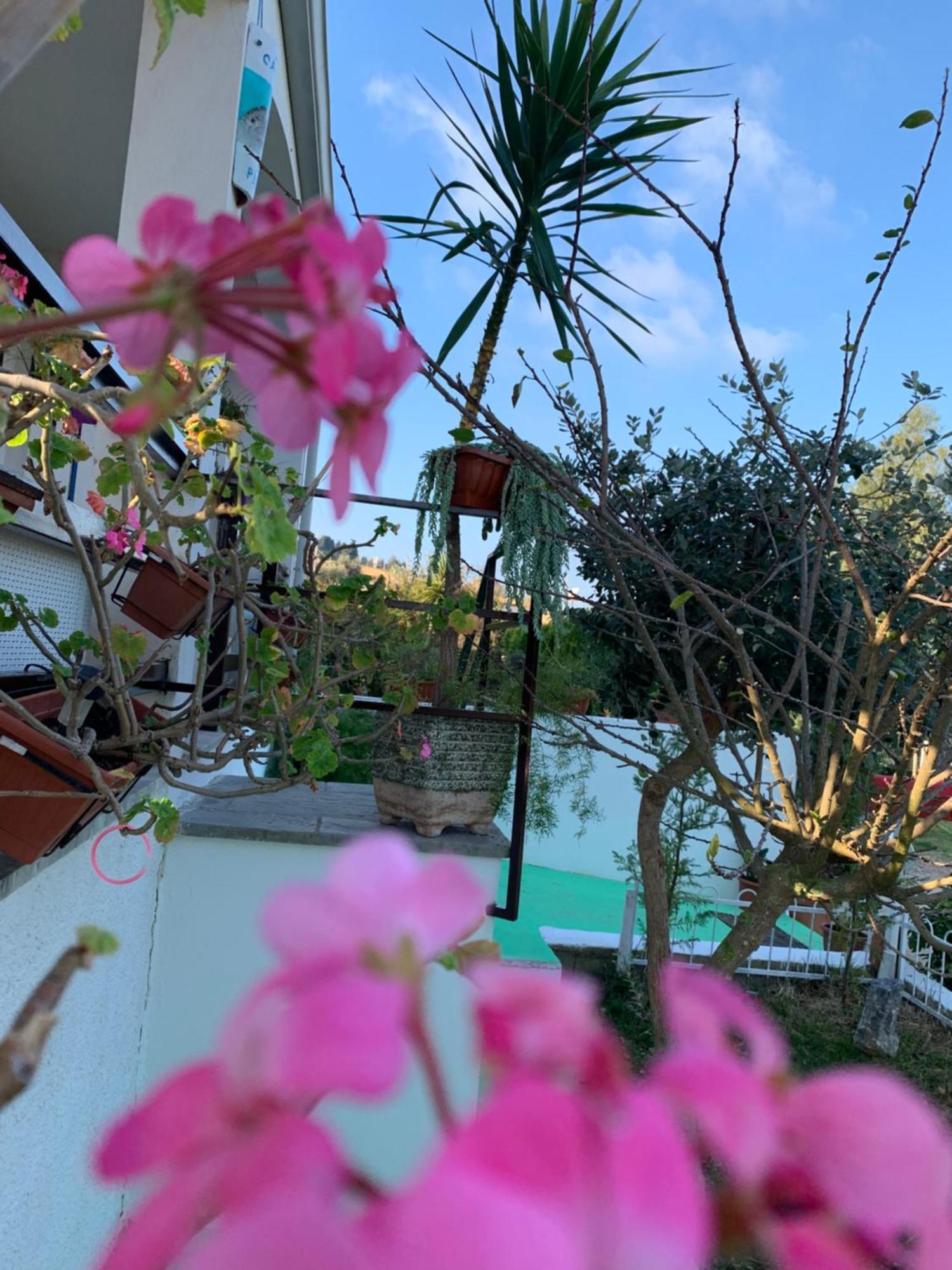 B&B A Casa Di Picci Santa Domenica  Εξωτερικό φωτογραφία