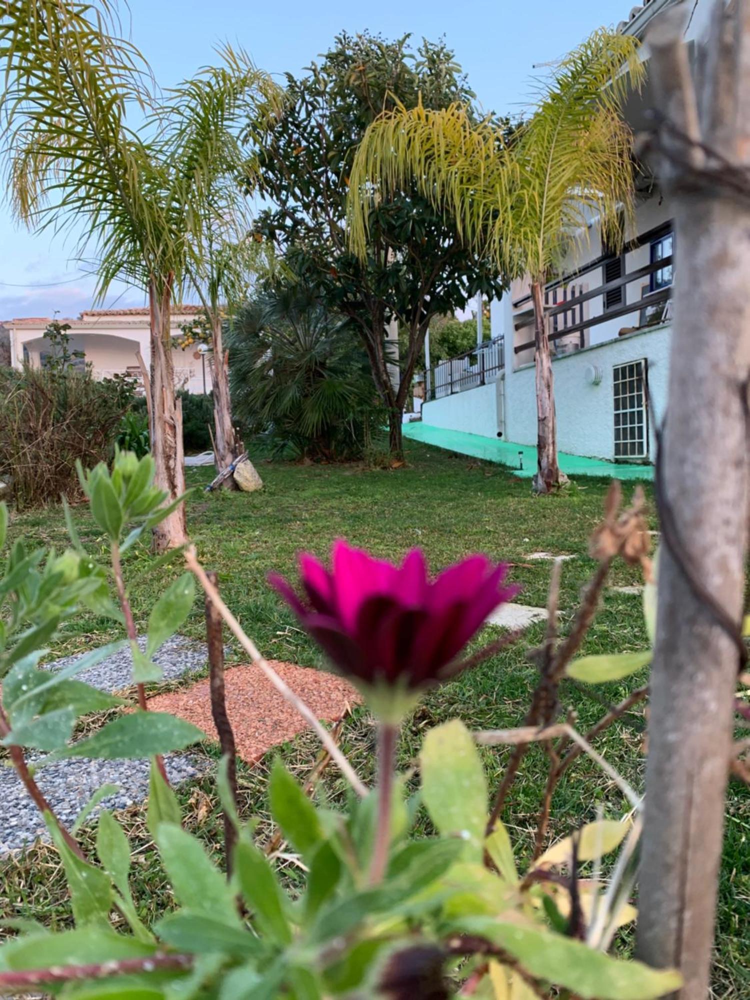 B&B A Casa Di Picci Santa Domenica  Εξωτερικό φωτογραφία