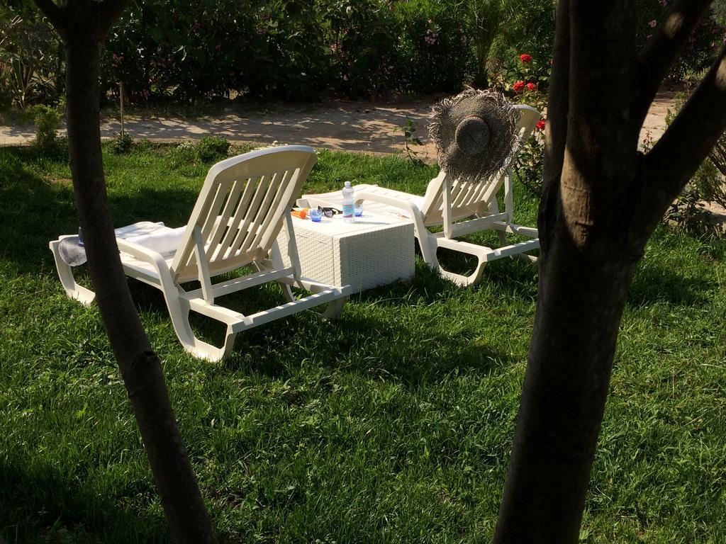 B&B A Casa Di Picci Santa Domenica  Εξωτερικό φωτογραφία