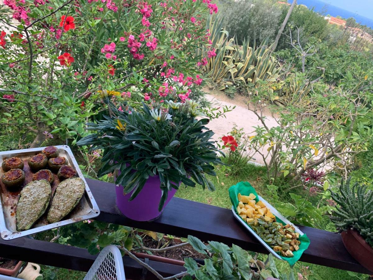 B&B A Casa Di Picci Santa Domenica  Εξωτερικό φωτογραφία