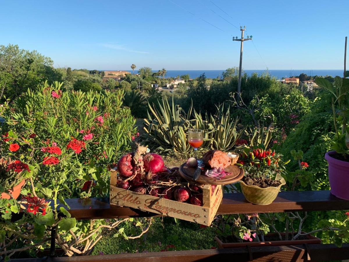 B&B A Casa Di Picci Santa Domenica  Εξωτερικό φωτογραφία